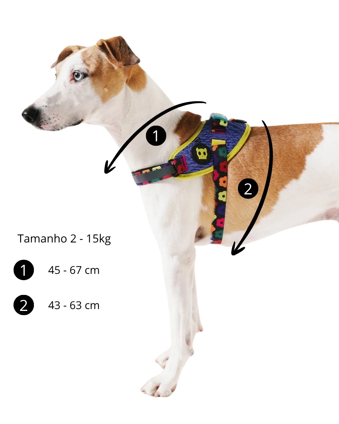 PEITORAL H FARM ZEEDOG MIX