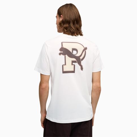 Camiseta Masculina Puma Graphic Box Tee (688031-16) | Genko