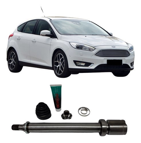 Tulipa + Trizeta Ford Focus 2.0 Câmbio Automático Powershift 2014