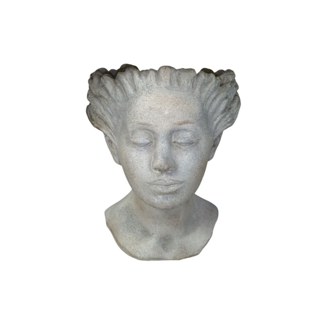 Vaso Cabe a De Medusa vaso-cabe-a-de-medusa